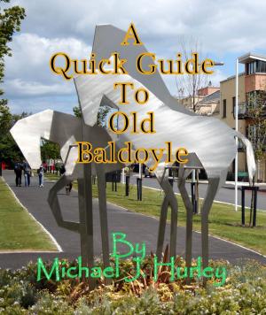 Book cover of A Quick Guide To Old Baldoyle