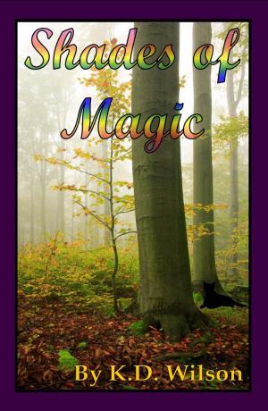 Cover of the book Shades of Magic by Simon Rose