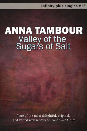 Cover of the book Valley of the Sugars of Salt by Keith Brooke