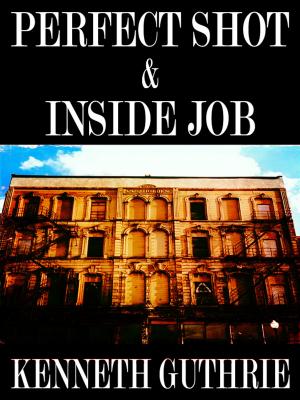 Book cover of Perfect Shot and Inside Job (Two Story Pack)