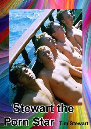 Book cover of Stewart The Porn Star