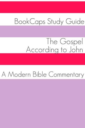 Book cover of The Gospel of John: A Modern Bible Commentary