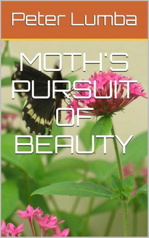 Book cover of Moth's Pursuit of Beauty
