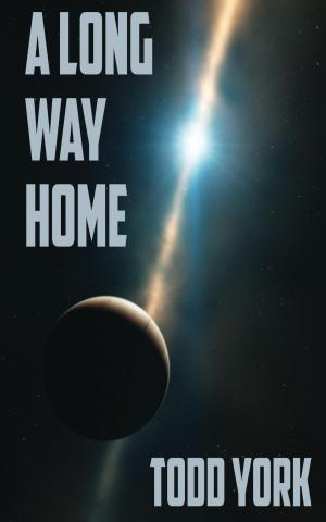 Cover of the book A Long Way Home by Troim Kryzl