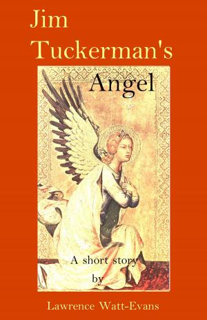 Book cover of Jim Tuckerman's Angel