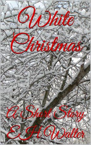 Cover of the book White Christmas: a short story by Dena Garson
