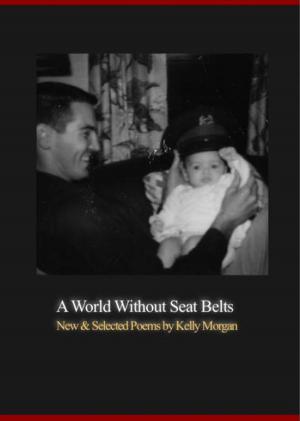 Cover of the book A World Without Seat Belts by Melissa Strangway