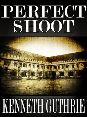 Book cover of Perfect Shot (Honor Action War Series #3)