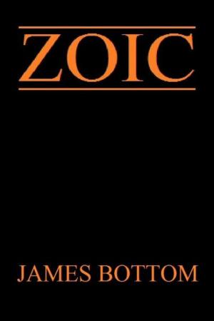 Cover of the book Zoic by Per Holbo