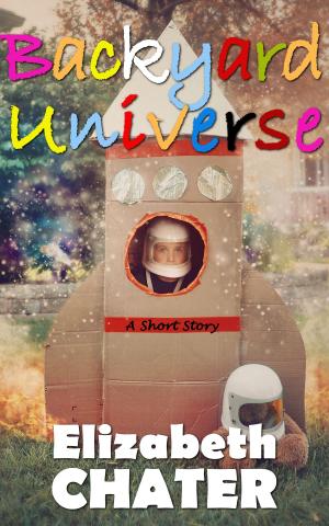 Book cover of Backyard Universe