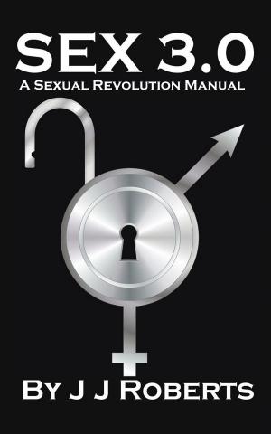 Cover of the book Sex 3.0 by Rob Godfrey