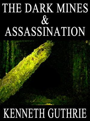 Book cover of The Dark Mines and Assassination (Two Story Pack)