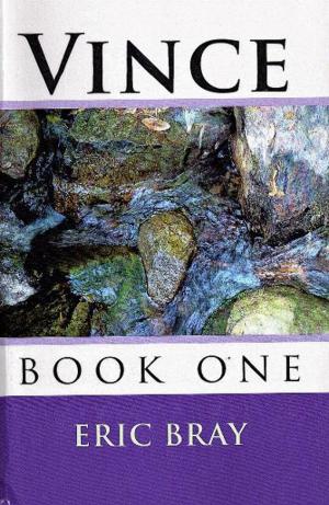 Book cover of Vince: book 1