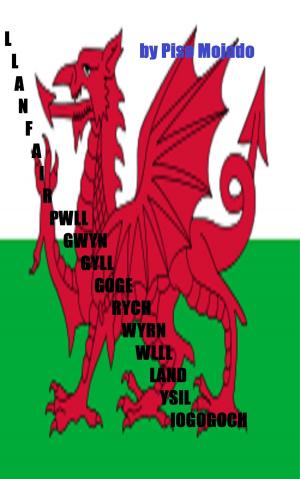 Book cover of Llanfairpwllgwyngyllgogerychwyrndropwlllandysiliogogogoch