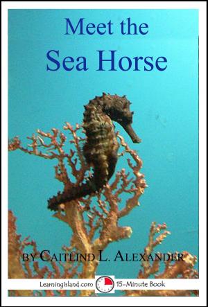 Book cover of Meet the Sea Horse: A 15-Minute Book