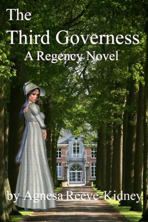 bigCover of the book The Third Governess by 