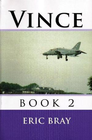 Cover of Vince book 2