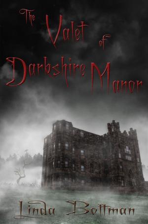 Book cover of The Valet of Darkshire Manor