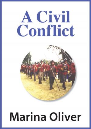 Cover of A Civil Conflict