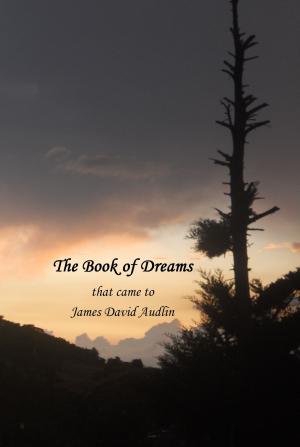 Cover of the book The Book of Dreams by James David Audlin