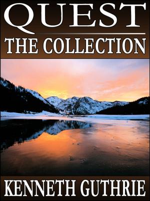 Cover of the book Quest: The Collection (Stories 1-4) by Lana G. Hurn