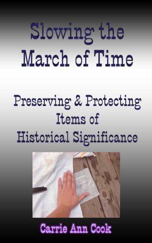 Cover of Slowing the March of Time Preserving and Protecting Items Of Historical Significance