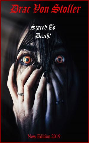 Cover of the book Scared to Death by TL Schaefer