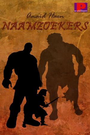 Cover of the book Naamzoekers by Anaïd Haen