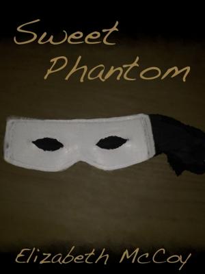 Book cover of Sweet Phantom
