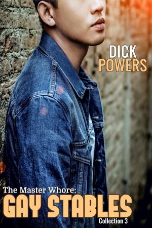 Cover of the book The Master Whore: Gay Stables Collection 3 by Dick Powers