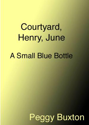 Book cover of Courtyard, Henry, June, A Small Blue Bottle