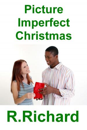 Book cover of Picture Imperfect Christmas