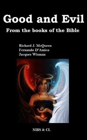 Cover of the book Good and Evil: From the books of the Bible by Richard J. McQueen