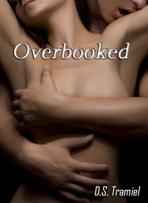 Cover of the book Overbooked by Olivia Dromen