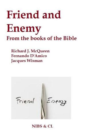 Cover of the book Friend and Enemy: From the books of the Bible by Richard J. McQueen