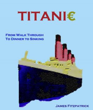 Cover of the book Titanic by Darren Stein