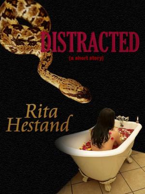 Cover of the book Distracted by Pippa Jay