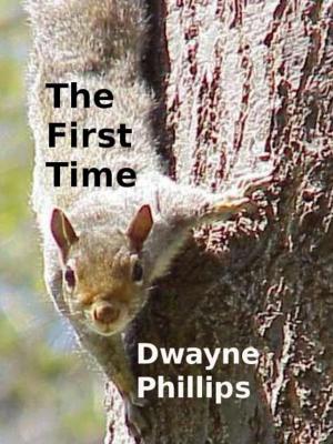 Cover of the book The First Time by David Vandeviver