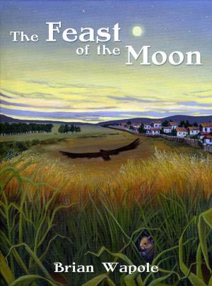 Cover of the book The Feast of the Moon by Raymond Yakeleya
