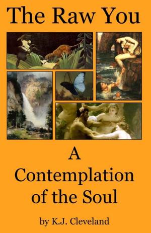 Cover of the book The Raw You: A Contemplation of the Soul by John Wolcott Adams