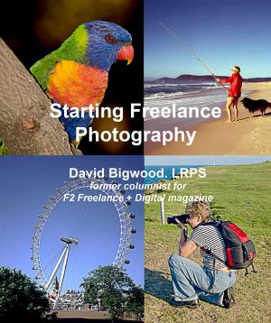 Book cover of Starting Freelance Photography