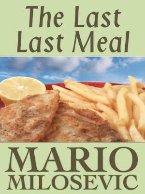 Book cover of The Last Last Meal