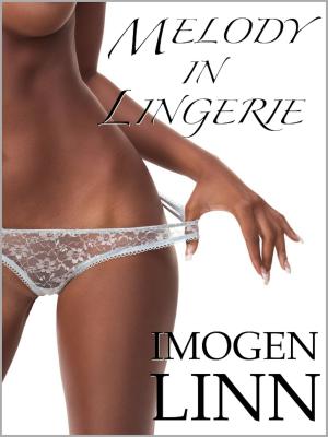 Book cover of Melody in Lingerie (BDSM Erotica)