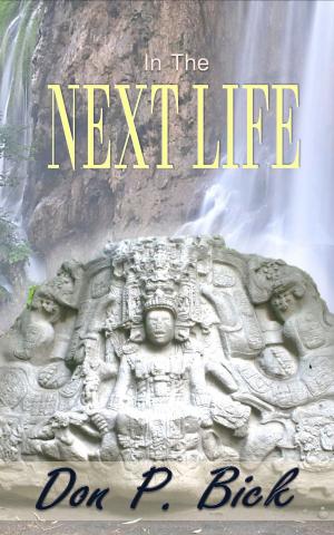 Book cover of In The Next Life