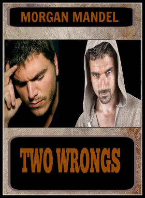 Cover of the book Two Wrongs by C.L. Hunter