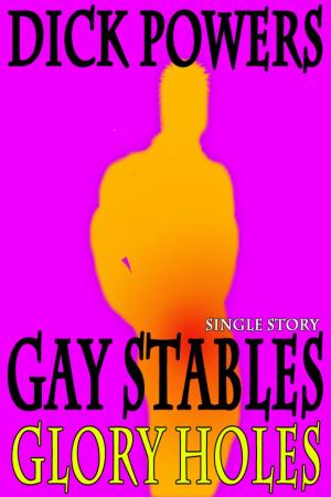 Book cover of Glory Holes (Gay Stables #1)