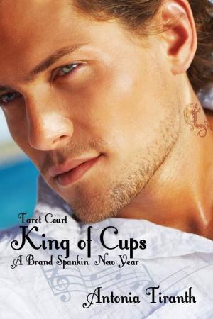 Cover of the book King of Cups: Brand Spankin New Year by Amelia Wren