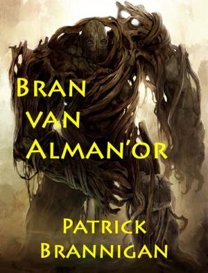 Cover of the book Bran van Alman'or by J. Cain McKrell