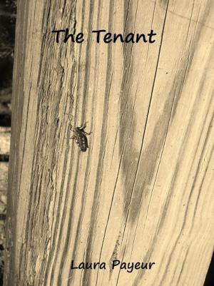 Cover of the book The Tenant by Vic Robbie
