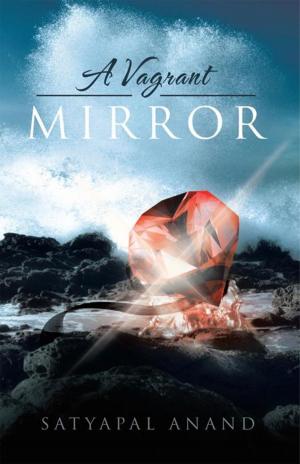 Cover of the book A Vagrant Mirror by Ali Najjar-Khatirkolaei